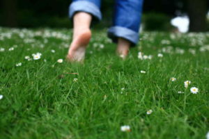 Spring Green Tips for Your Yard
