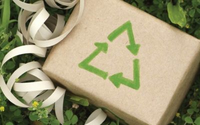 Reduce Waste this Holiday Season