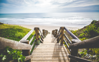 Enjoy a Eco-Friendly Summer