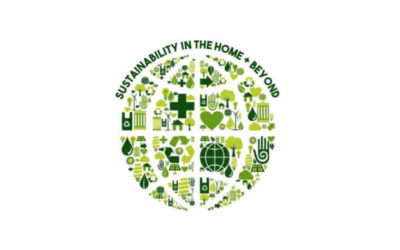 Sustainability at Home + Beyond